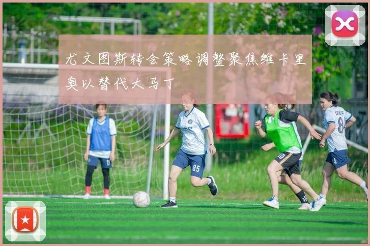 尤文图斯转会策略调整聚焦维卡里奥以替代大马丁
