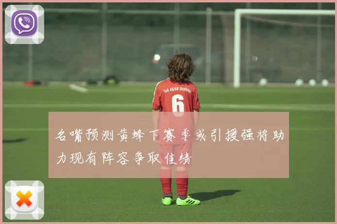 名嘴预测黄蜂下赛季或引援强将助力现有阵容争取佳绩